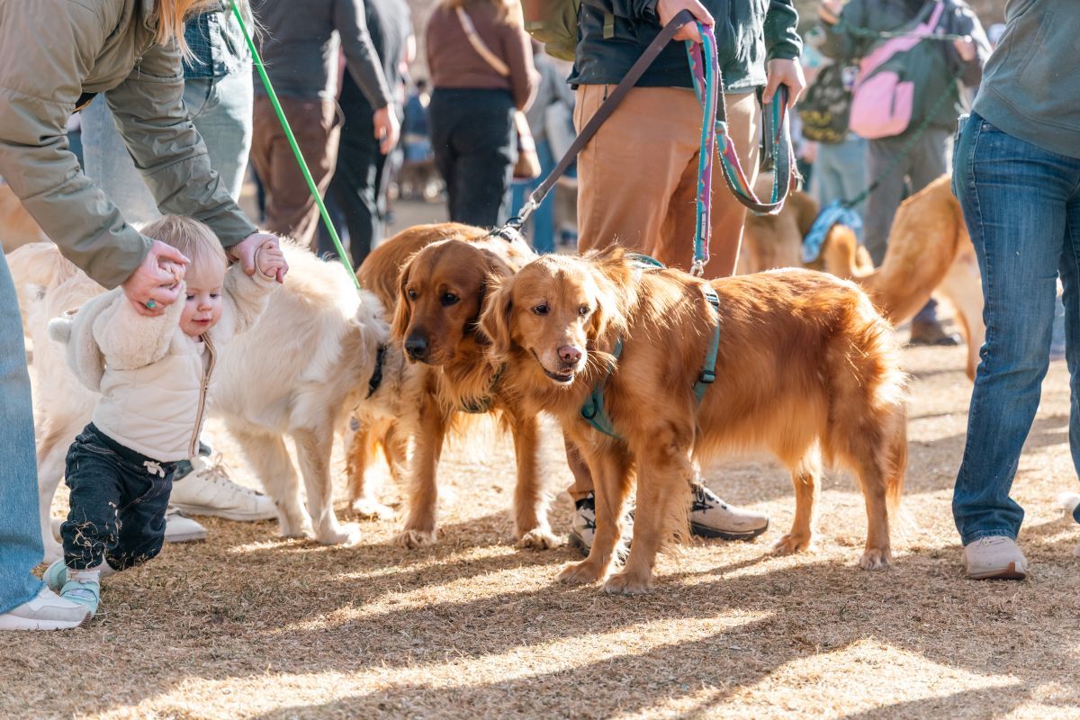 米コロラド州ゴールデンで開催された「ゴールデンズ・イン・ゴールデン2026」の一幕。2026年2月7日撮影(KatieandJoeOnTheGo/Visit Golden)