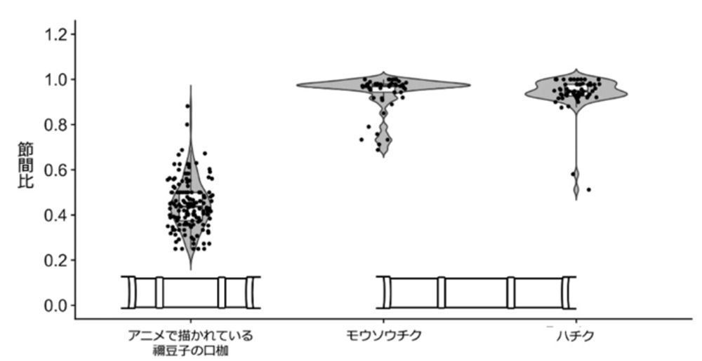 口かせ、モウソウチク、ハチクの節間比の比較。