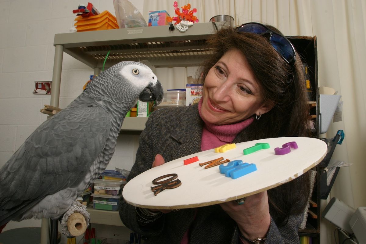 アイリーン・ペッパーバーグ博士とアレックス（Rick Friedman / Getty Images）