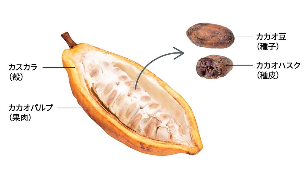 明治公式ホームページより。