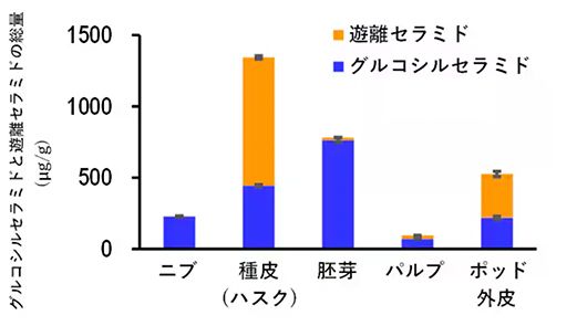 カカオの部位ごとのセラミド含有量。