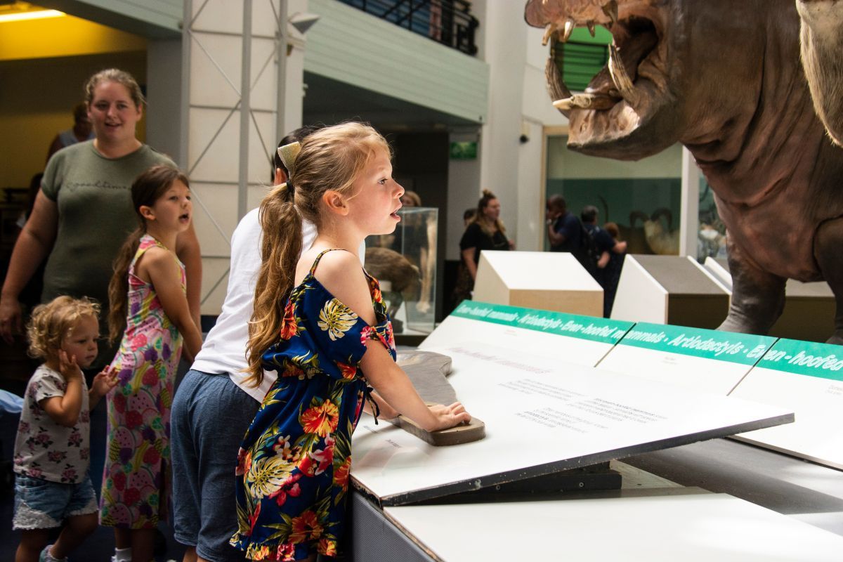 英ロンドンの自然史博物館で展示物に見入る子どもたち（Shutterstock.com）