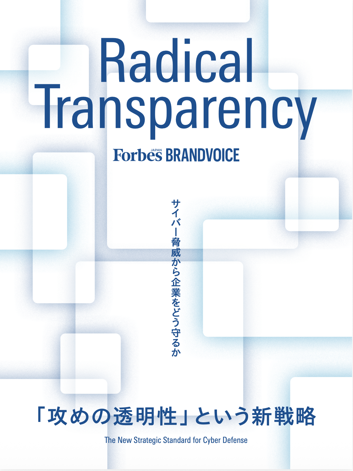 Radical Transparency 冊子表紙