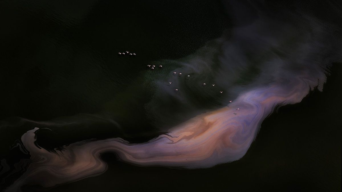 「生命の旅路（Journey of Life）」。アマチュア写真家を対象にしたディスカバリー・フォトグラファー・オブ・ザ・イヤー最優秀賞、抽象部門。撮影地：ケニヤ・マガディ湖　Xuejun Long - World Photo Annual reFocus Awards