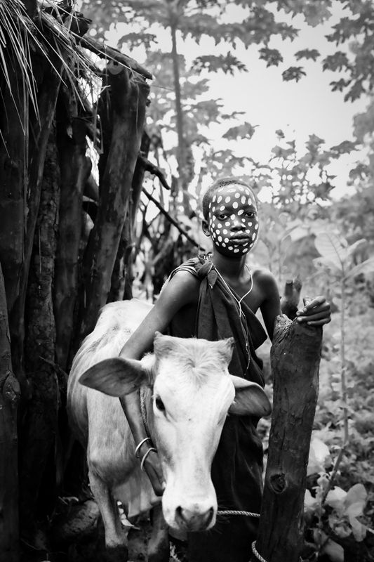「スリ族の少女とゼブー牛（The Suri girl and the Zebu）」。ポートレート部門（プロ）一般投票1位。 撮影地：エチオピア・スリ族の村　Emilie Favier - World Photo Annual reFocus Awards