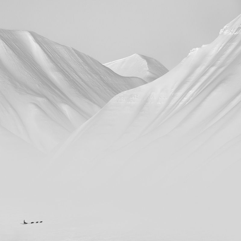 「北極の静寂（Arctic Silence）」。ミニマリズム部門金賞。北極海に浮かぶノルウェー・スピッツベルゲン島は、広漠とした極寒の地だ。　Patrick Ems, - World Photo Annual reFocus Awards