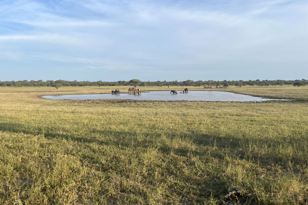 （C）Conservation International/photo by Will McCarry