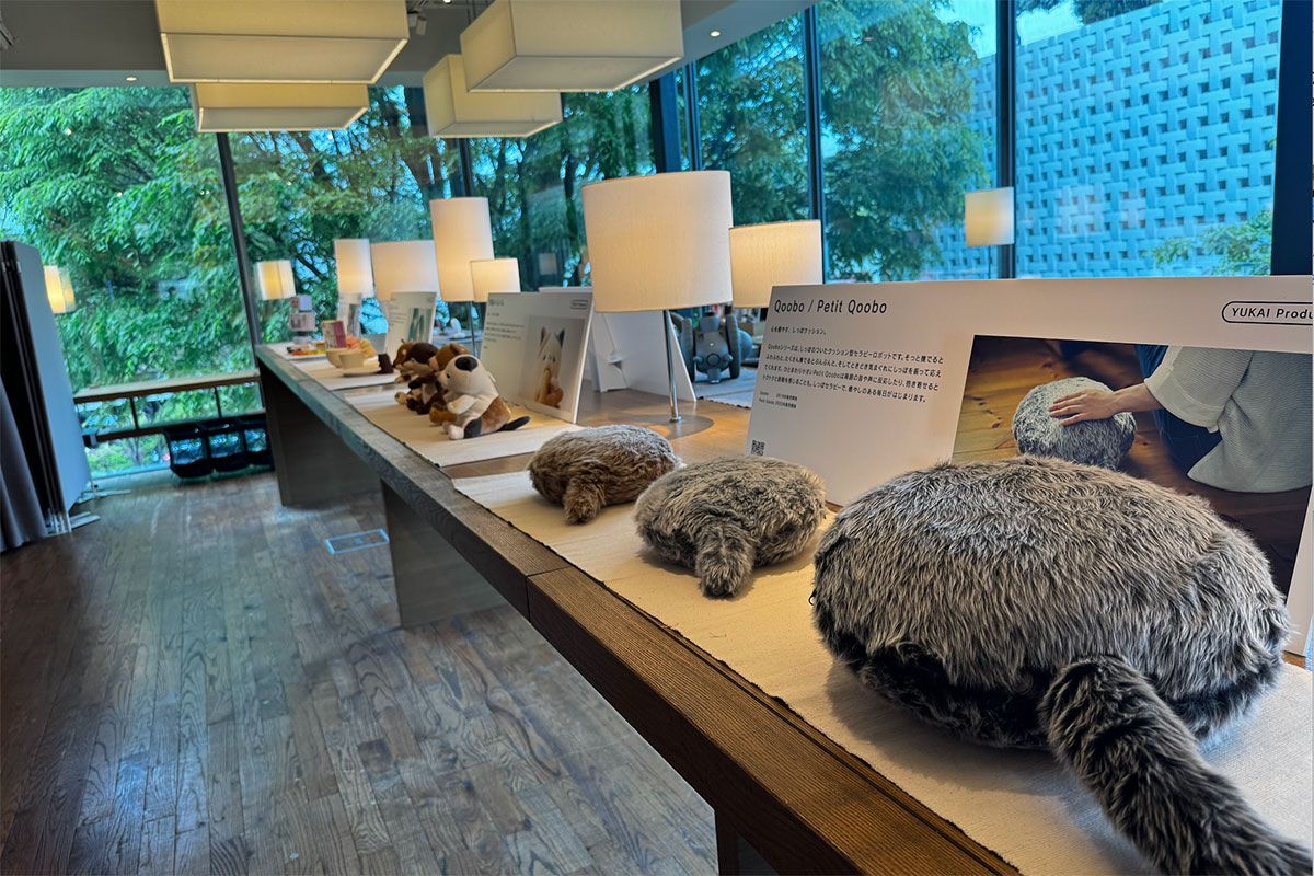 筆者撮影：手前がQoobo、甘噛みハムハム