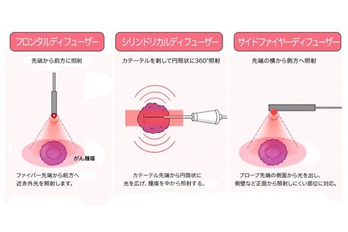 （作図：芹澤健介）