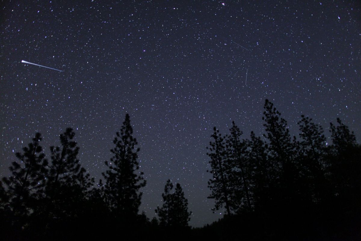 みずがめ座η流星群の流れ星（stock.adobe.com）