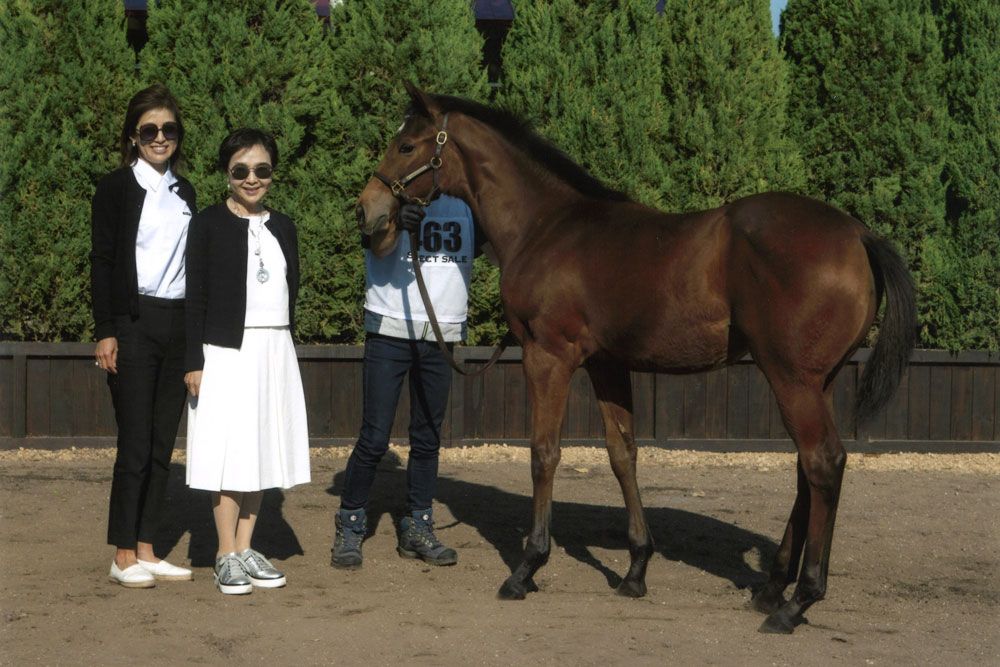 競走馬セリ市「セレクトセール」にて（寺田千代乃氏提供）