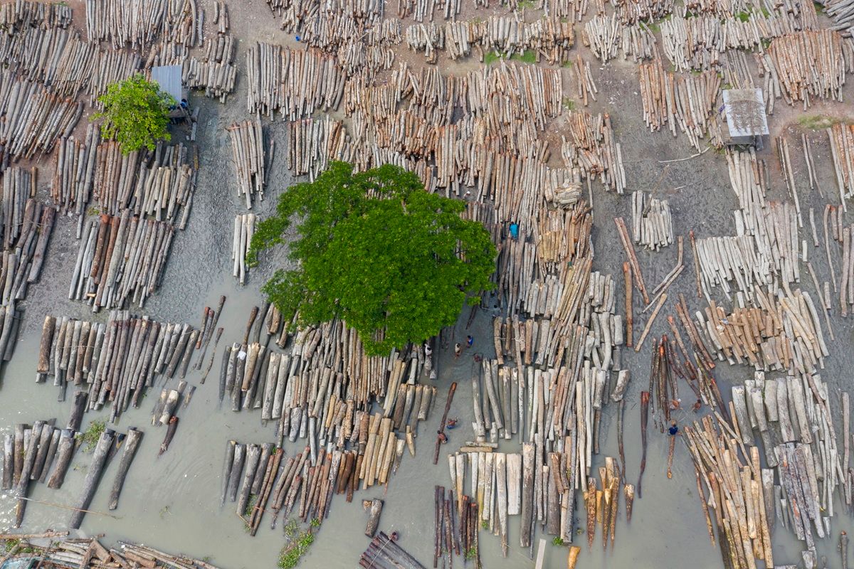 「丸太の川（The River of Fallen Trees）」、環境影響カテゴリー入選　Muhammad Mostafigur Rahman - The Nature Photography Contest 2025