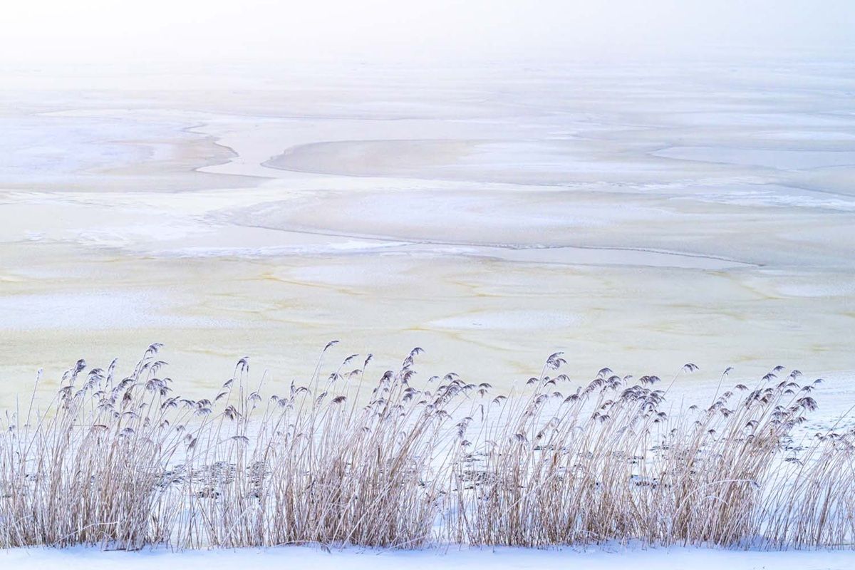 「冬の吐息（The Breath of Winter）」。風景部門、第4位　Sandra Westermann, Germany - GDT Nature Photographer Of The Year 2026