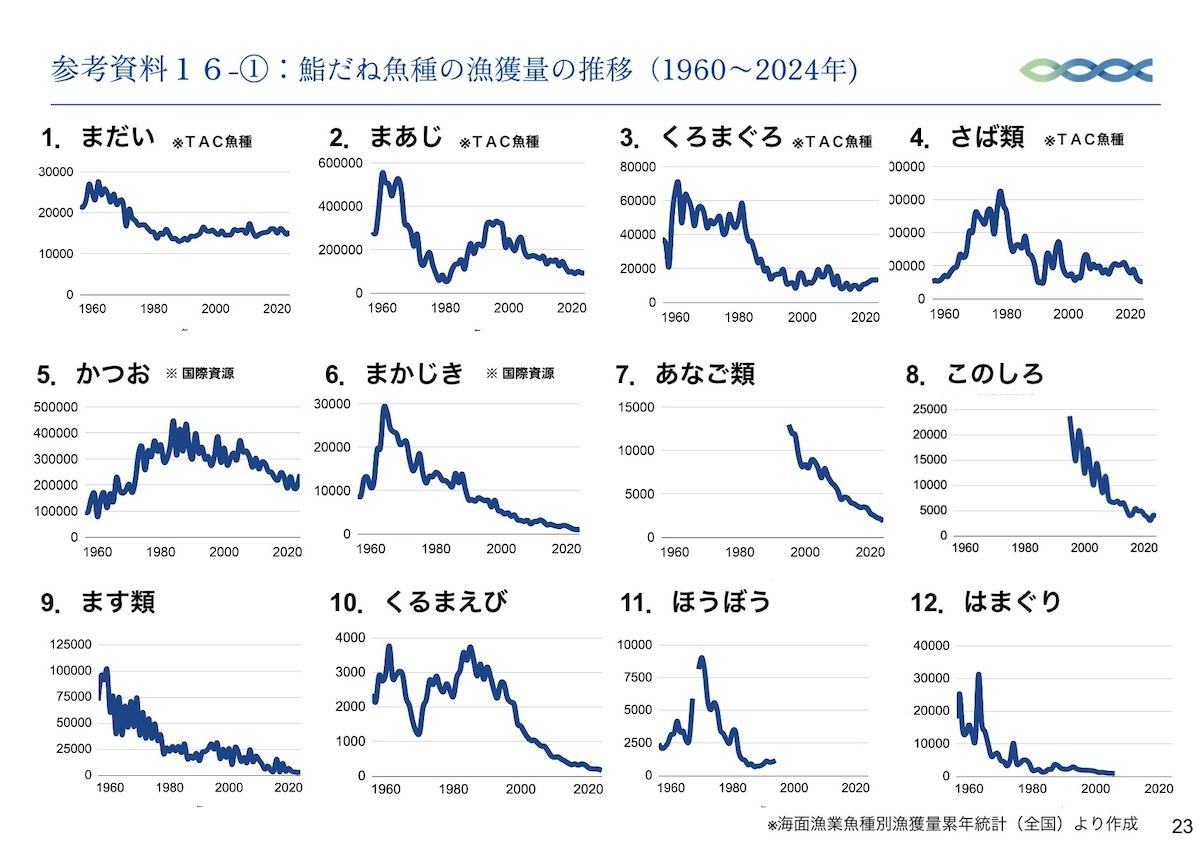 鮨だね魚種の漁獲量の推移。（Chefs for the Blue提言書より）