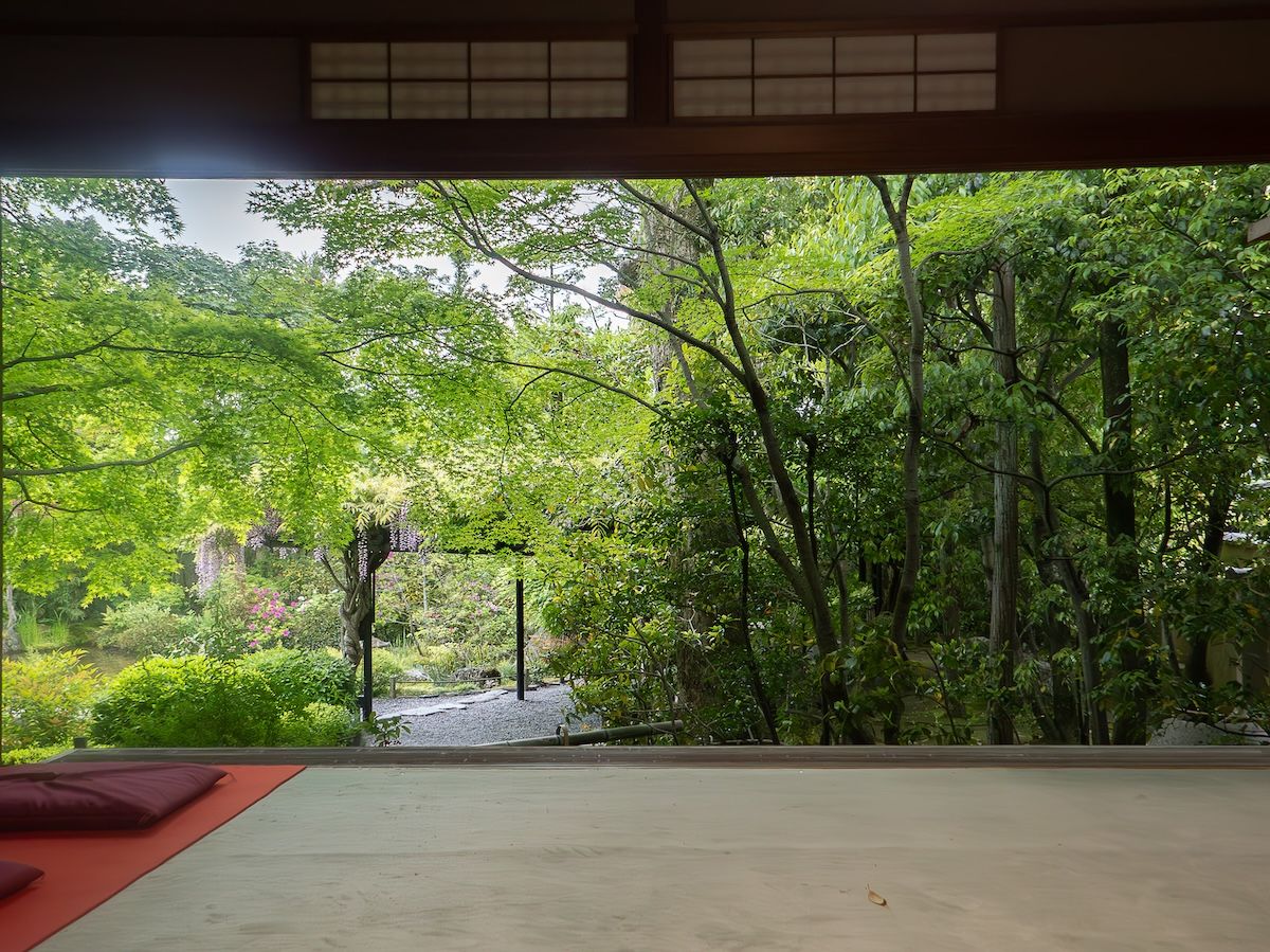 妙心寺・退蔵院の茶席「大休庵」から庭を見る（撮影：著者）